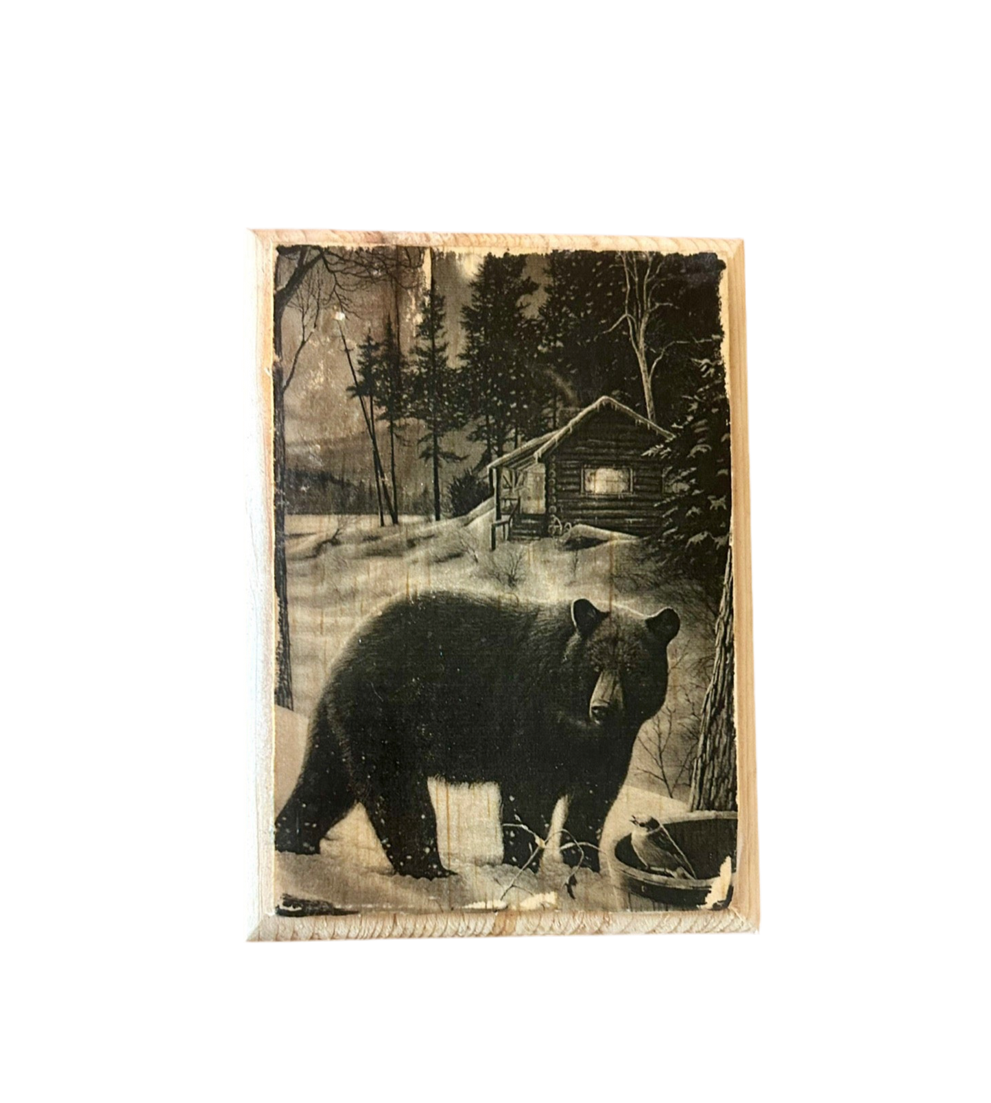 Bear Cabin