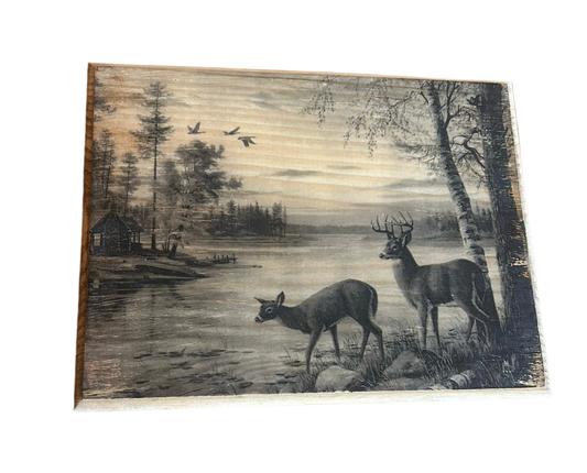 Deer at cabin lake