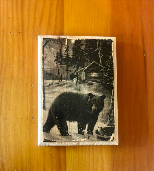 Bear Cabin
