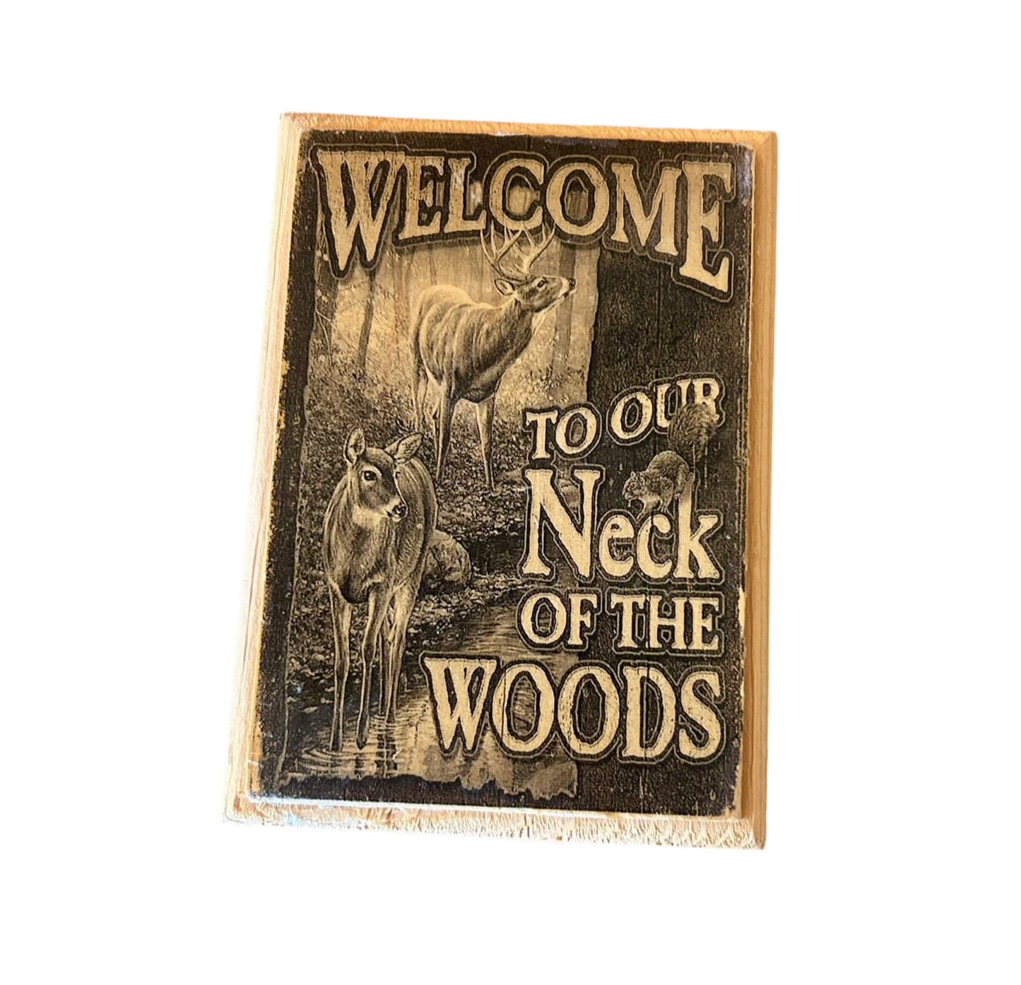 Welcome to the woods