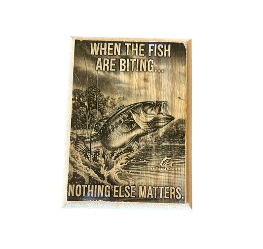 Fish Biting