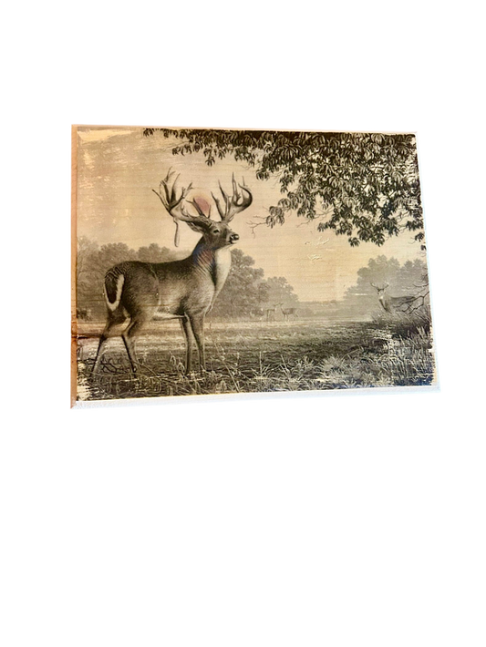 Drop Tine Buck