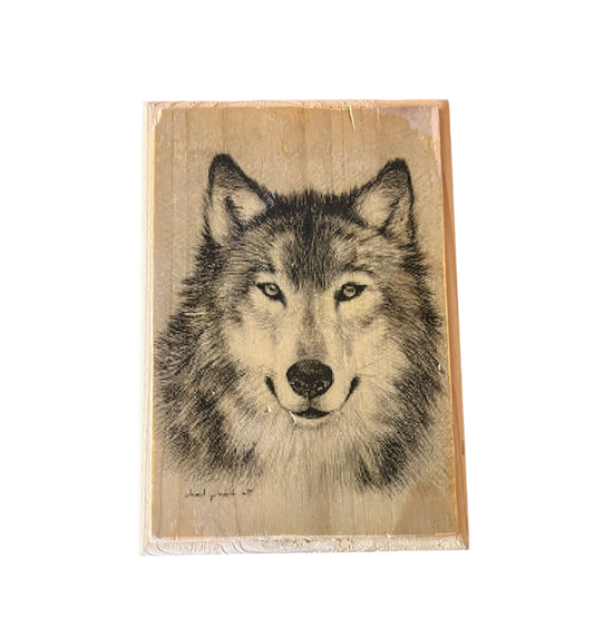 Wolf portrait